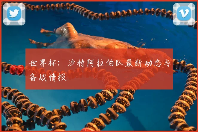 世界杯：沙特阿拉伯队最新动态与备战情报